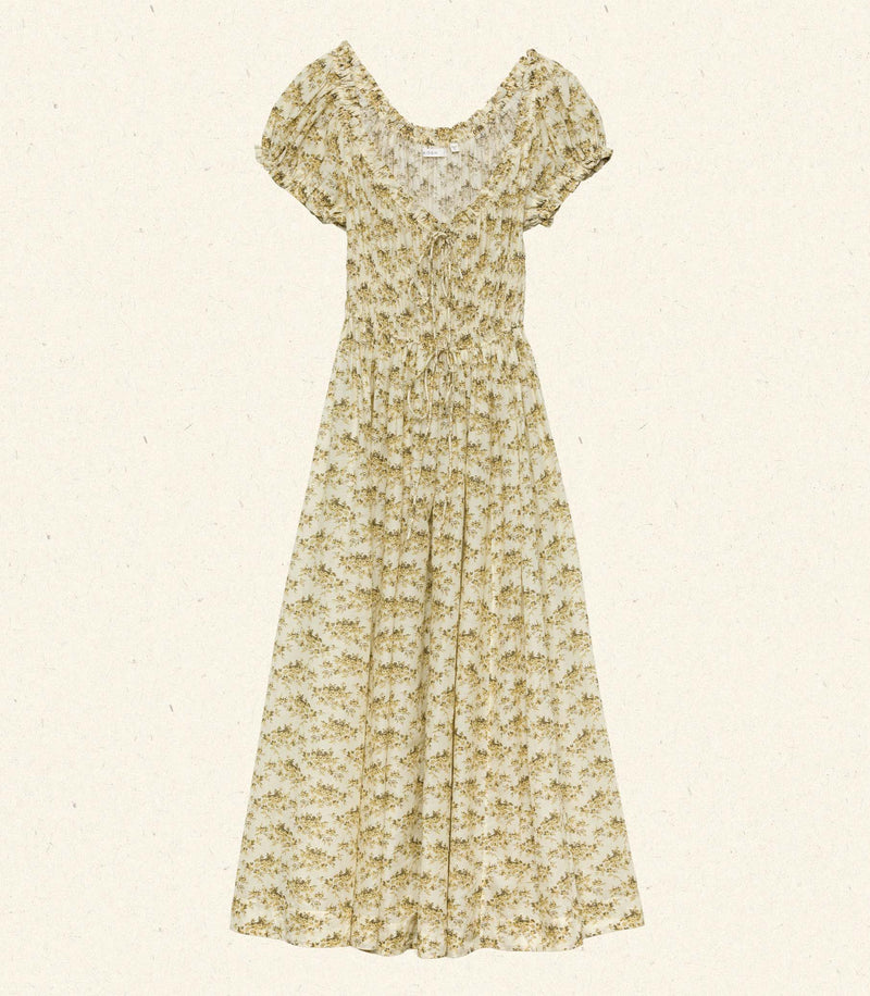 ASHLYNN DRESS -- CITRON ROSIER FLORAL